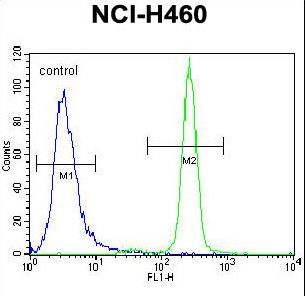 IL6 / Interleukin 6 Antibody - IL6 Antibody flow cytometry of NCI-H460 cells (right histogram) compared to a negative control cell (left histogram). FITC-conjugated goat-anti-rabbit secondary antibodies were used for the analysis.