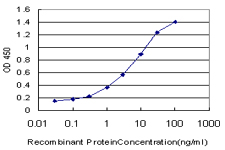 IL6R / IL6 Receptor Antibody - Detection limit for recombinant GST tagged IL6R is approximately 0.1 ng/ml as a capture antibody.