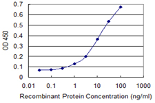 IL6ST / CD130 / gp130 Antibody - Detection limit for recombinant GST tagged IL6ST is 0.3 ng/ml as a capture antibody.