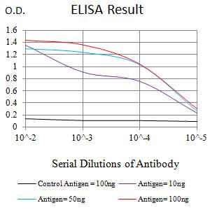 IL6ST / CD130 / gp130 Antibody - Black line: Control Antigen (100 ng);Purple line: Antigen (10ng); Blue line: Antigen (50 ng); Red line:Antigen (100 ng)