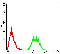 IL6ST / CD130 / gp130 Antibody - Flow cytometric analysis of HL-60 cells using CD130 mouse mAb (green) and negative control (red).