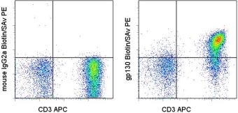 IL6ST / CD130 / gp130 Antibody - Staining of normal human peripheral blood cells with APC anti-human CD3 (UCHT1) (LS-C107411) and 0.06 ug of Biotin Mouse IgG2a, K Isotype Control (left) or 0.06 ug of Biotin anti-human gp130 (right) followed by Streptavidin-PE. Cells in the lymphocyte gate were used for analysis. This image was taken for the unconjugated form of this product. Other forms have not been tested.