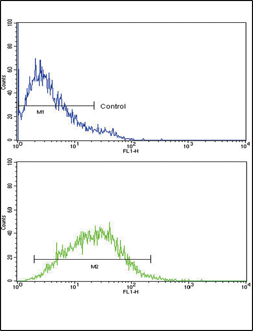 IL8 / Interleukin 8 Antibody - IL8 Antibody flow cytometry of CEM cells (bottom histogram) compared to a negative control cell (top histogram). FITC-conjugated goat-anti-rabbit secondary antibodies were used for the analysis.