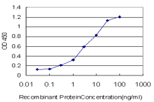 IL8 / Interleukin 8 Antibody - Detection limit for recombinant GST tagged IL8 is approximately 0.03 ng/ml as a capture antibody.