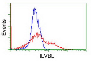 ILVBL Antibody - HEK293T cells transfected with either overexpress plasmid (Red) or empty vector control plasmid (Blue) were immunostained by anti-ILVBL antibody, and then analyzed by flow cytometry.