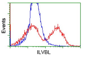 ILVBL Antibody - HEK293T cells transfected with either overexpress plasmid (Red) or empty vector control plasmid (Blue) were immunostained by anti-ILVBL antibody, and then analyzed by flow cytometry.