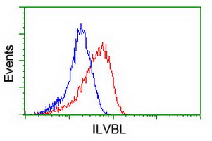 ILVBL Antibody - Flow cytometry of HeLa cells, using anti-ILVBL antibody (Red), compared to a nonspecific negative control antibody (Blue).