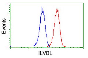 ILVBL Antibody - Flow cytometry of Jurkat cells, using anti-ILVBL antibody (Red), compared to a nonspecific negative control antibody (Blue).