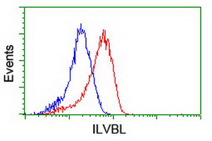 ILVBL Antibody - Flow cytometry of HeLa cells, using anti-ILVBL antibody (Red), compared to a nonspecific negative control antibody (Blue).