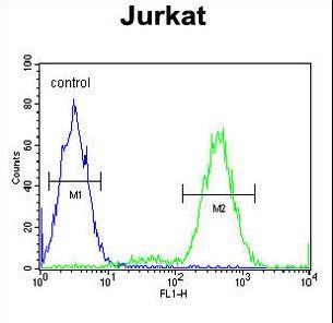 IMMP2L Antibody - IMP2L Antibody flow cytometry of Jurkat cells (right histogram) compared to a negative control cell (left histogram). FITC-conjugated goat-anti-rabbit secondary antibodies were used for the analysis.