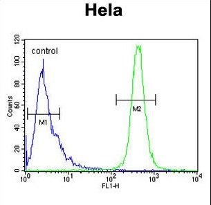 IMP3 Antibody - IMP3 Antibody flow cytometry of HeLa cells (right histogram) compared to a negative control cell (left histogram). FITC-conjugated goat-anti-rabbit secondary antibodies were used for the analysis.