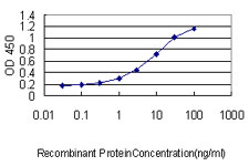 IMPDH2 Antibody - Detection limit for recombinant GST tagged IMPDH2 is approximately 0.3 ng/ml as a capture antibody.