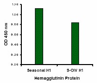 Influenza A Virus Hemagglutinin Antibody - Seasonal Influenza A Hemagglutinin antibody (2 ug/ml) recognizes seasonal influenza A (H1N1), and to a lesser extent swine-origin influenza A (S-OIV, H1N1), Hemagglutinin protein in ELISA. Below: ELISA results using Seasonal H1N1 Hemagglutinin antibody at 1 ug/ml and the blocking and corresponding peptides at 50, 10, 2 and 0 ng/ml.