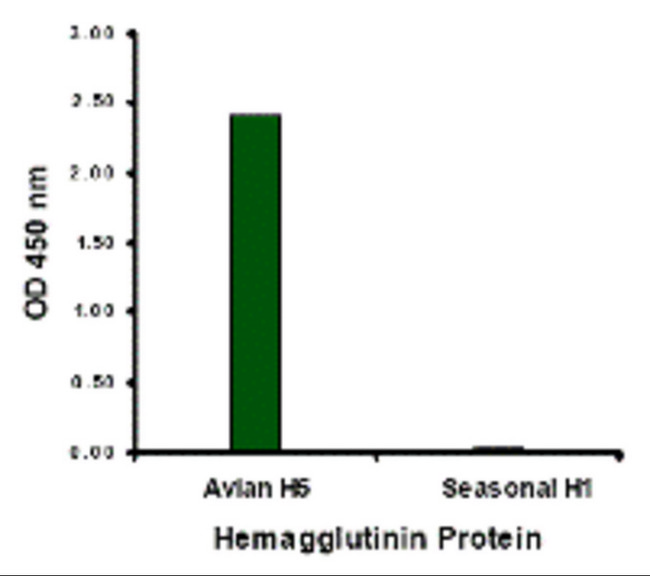 Influenza A Virus Hemagglutinin Antibody - Hemagglutinin antibody at 1 ug/mL specifically recognizes Avian H5N1 influenza virus but not seasonal influenza virus A H1N1 Hemagglutinin protein.