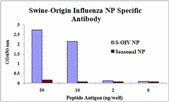 Influenza A Virus Nucleoprotein Antibody - Swine-origin Nucleocapsid Protein antibody specifically recognizes swine-origin influenza virus (S-OIV) A H1N1 but not seasonal influenza virus A H1N1 Nucleocapsid protein.