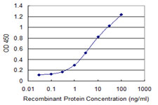 ING3 Antibody - Detection limit for recombinant GST tagged ING3 is 0.1 ng/ml as a capture antibody.