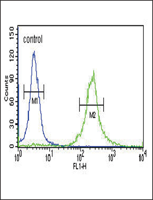 INHA / Inhibin Alpha Antibody - INHA Antibody flow cytometry of 293 cells (right histogram) compared to a negative control cell (left histogram). FITC-conjugated goat-anti-rabbit secondary antibodies were used for the analysis.