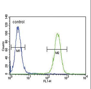 INHBA / Inhibin Beta A Antibody - INHBA Antibody flow cytometry of CEM cells (right histogram) compared to a negative control cell (left histogram). FITC-conjugated goat-anti-rabbit secondary antibodies were used for the analysis.