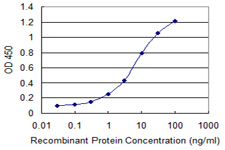 INPP5A Antibody - Detection limit for recombinant GST tagged INPP5A is 0.1 ng/ml as a capture antibody.