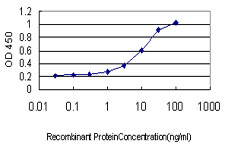 INPPL1 / SHIP2 Antibody - Detection limit for recombinant GST tagged INPPL1 is approximately 0.1 ng/ml as a capture antibody.