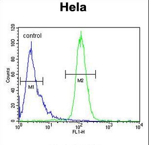 INTS10 Antibody - INT10 Antibody flow cytometry of HeLa cells (right histogram) compared to a negative control cell (left histogram). FITC-conjugated goat-anti-rabbit secondary antibodies were used for the analysis.