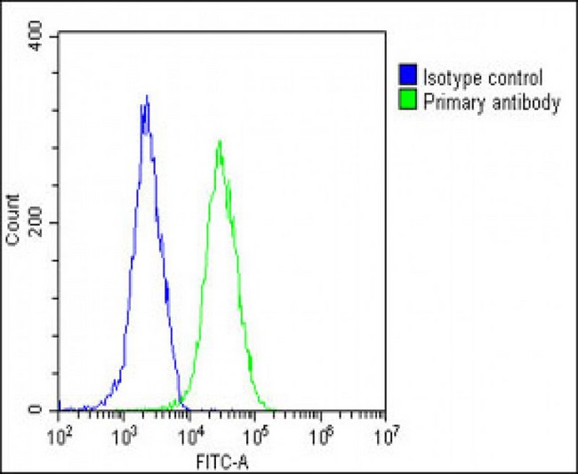 INTS3 Antibody - Overlay histogram showing Hela cells stained with INTS3 Antibody (Center) (green line). The cells were fixed with 2% paraformaldehyde (10 min) and then permeabilized with 90% methanol for 10 min. The cells were then icubated in 2% bovine serum albumin to block non-specific protein-protein interactions followed by the antibody (INTS3 Antibody (Center), 1:25 dilution) for 60 min at 37°C. The secondary antibody used was Goat-Anti-Rabbit IgG, DyLight® 488 Conjugated Highly Cross-Adsorbed (OE188374) at 1/200 dilution for 40 min at 37°C. Isotype control antibody (blue line) was rabbit IgG1 (1µg/1x10^6 cells) used under the same conditions. Acquisition of >10, 000 events was performed.