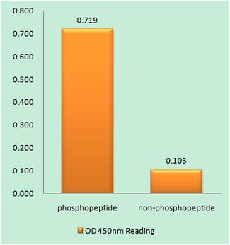 IPP2 / PPP1R2 Antibody - The absorbance readings at 450 nM are shown in the ELISA figure.