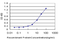IRAK4 / IRAK-4 Antibody - Detection limit for recombinant GST tagged IRAK4 is approximately 1 ng/ml as a capture antibody.