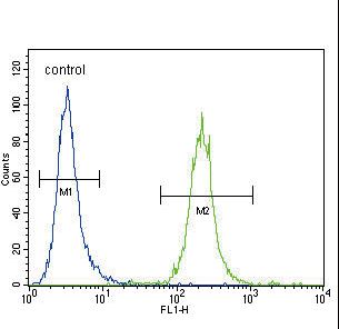 IREB2 / IRP2 Antibody - IREB2 Antibody flow cytometry of HeLa cells (right histogram) compared to a negative control cell (left histogram). FITC-conjugated goat-anti-rabbit secondary antibodies were used for the analysis.