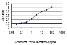 IRF1 / MAR Antibody - Detection limit for recombinant GST tagged IRF1 is approximately 0.1 ng/ml as a capture antibody.