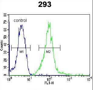IRF2BP2 Antibody - I2BP2 Antibody flow cytometry of 293 cells (right histogram) compared to a negative control cell (left histogram). FITC-conjugated goat-anti-rabbit secondary antibodies were used for the analysis.
