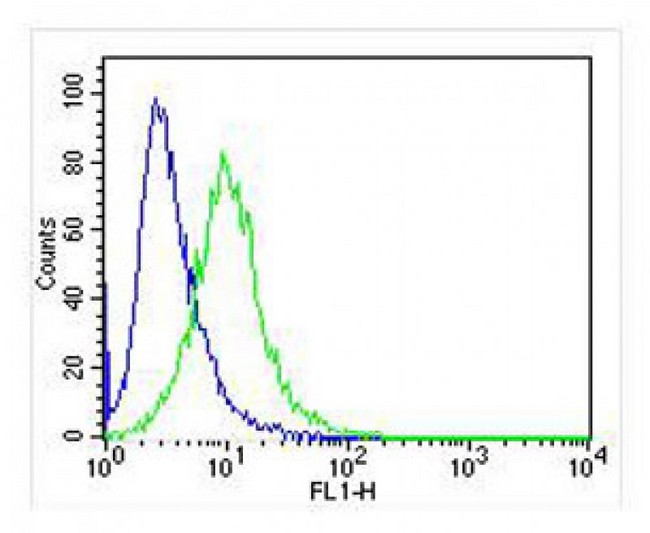 IRF3 Antibody - Overlay histogram showing Jurkat cells stained with antibody (green line). The cells were fixed with 2% paraformaldehyde (10 min) and then permeabilized with 90% methanol for 10 min. The cells were then incubated in 2% bovine serum albumin to block non-specific protein-protein interactions followed by the antibody (antibody, 1:25 dilution) for 60 min at 37°C. The secondary antibody used was Goat-Anti-Mouse IgG, DyLight 488 Conjugated Highly Cross-Adsorbed) at 1:400 dilution for 40 min at 37 ° C. Isotype control antibody (blue line) was mouse IgG (1ug/1x10^6 cells) used under the same conditions. Acquisition of >10, 000 events was performed.