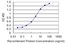 IRS Antibody - Detection limit for recombinant GST tagged IARS is 0.1 ng/ml as a capture antibody.