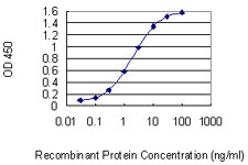 IRS4 Antibody - Detection limit for recombinant GST tagged IRS4 is 0.03 ng/ml as a capture antibody.