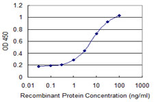 ISCA1 Antibody - Detection limit for recombinant GST tagged ISCA1 is 0.3 ng/ml as a capture antibody.