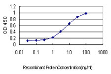ISGF3 / IRF9 Antibody - Detection limit for recombinant GST tagged ISGF3G is approximately 0.03 ng/ml as a capture antibody.