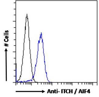 ITCH / AIP4 Antibody - ITCH / AIP4 antibody flow cytometric analysis of paraformaldehyde fixed HeLa cells (blue line), permeabilized with 0.5% Triton. Primary incubation 1hr (10ug/ml) followed by Alexa Fluor 488 secondary antibody (1ug/ml). IgG control: Unimmunized goat IgG (black line) followed by Alexa Fluor 488 secondary antibody.