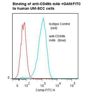 ITGA2 / CD49b Antibody - Flow cytometry of ITGA2 / CD49b antibody This image was taken for the unmodified form of this product. Other forms have not been tested.