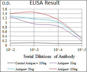 ITGA2B / CD41 Antibody - Red: Control Antigen (100ng); Purple: Antigen (10ng); Green: Antigen (50ng); Blue: Antigen (100ng);