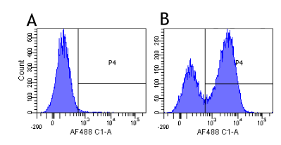 ITGA4 / VLA-4 / CD49d Antibody - Flow-cytometry on human lymphocytes.