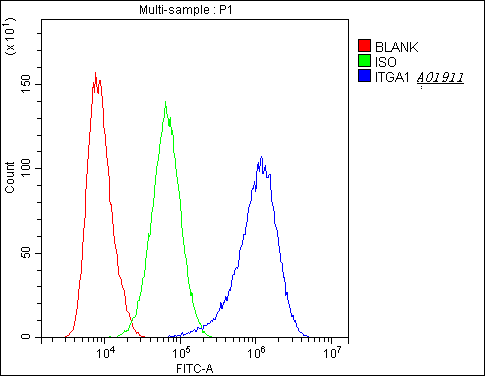 ITGA5/Integrin Alpha 5/CD49e Antibody - Flow Cytometry analysis of A431 cells using anti-Integrin alpha 5 antibody. Overlay histogram showing A431 cells stained with anti-Integrin alpha 5 antibody (Blue line). The cells were blocked with 10% normal goat serum. And then incubated with rabbit anti-Integrin alpha 5 Antibody (1µg/10E6 cells) for 30 min at 20°C. DyLight®488 conjugated goat anti-rabbit IgG (5-10µg/10E6 cells) was used as secondary antibody for 30 minutes at 20°C. Isotype control antibody (Green line) was rabbit IgG (1µg/10E6 cells) used under the same conditions. Unlabelled sample (Red line) was also used as a control.