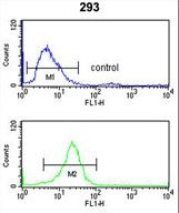 ITGA6/Integrin Alpha 6/CD49f Antibody - CD49f Antibody flow cytometry of 293 cells (bottom histogram) compared to a negative control cell (top histogram). FITC-conjugated goat-anti-rabbit secondary antibodies were used for the analysis.