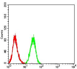 ITGAL / CD11a Antibody - Flow cytometric analysis of HL-60 cells using CD11a mouse mAb (green) and negative control (red).