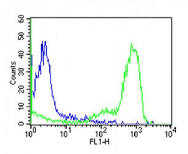 ITGAL / CD11a Antibody - Overlay histogram showing huuman peripheral blood lymphocytes stained with CD11a antibody (green line). The cells were icubated in 2% bovine serum albumin to block non-specific protein-protein interactions followed by the antibody (1:50 dilution) for 60min at 37°C. The secondary antibody used was Goat Anti-Mouse IgG, DyLight® 488 Conjugated Highly Cross-Adsorbed (OJ192088) at 1/200 dilution for 40min at 37°C. Isotype control antibody (blue line) was mouse IgG1 (1µg/1x10^6 cells) used under the same conditions. Acquisition of >10, 000 events was performed.