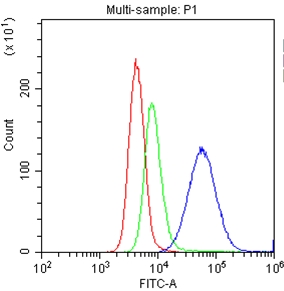 ITGAL / CD11a Antibody - Flow Cytometry analysis of U937 cells using anti-CD11a antibody. Overlay histogram showing U937 cells stained with anti-CD11a antibody (Blue line). The cells were blocked with 10% normal goat serum. And then incubated with rabbit anti-CD11a Antibody (1µg/1x106 cells) for 30 min at 20°C. DyLight®488 conjugated goat anti-rabbit IgG (5-10µg/1x106 cells) was used as secondary antibody for 30 minutes at 20°C. Isotype control antibody (Green line) was rabbit IgG (1µg/1x106) used under the same conditions. Unlabelled sample (Red line) was also used as a control.