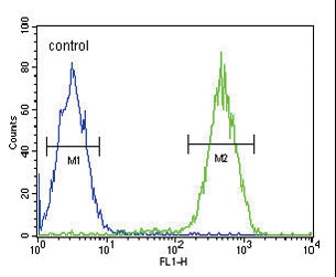 ITGAM / CD11b Antibody - CD11b Antibody flow cytometry of Jurkat cells (right histogram) compared to a negative control cell (left histogram). FITC-conjugated goat-anti-rabbit secondary antibodies were used for the analysis.
