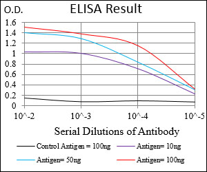 ITGAM / CD11b Antibody - Red: Control Antigen (100ng); Purple: Antigen (10ng); Green: Antigen (50ng); Blue: Antigen (100ng);