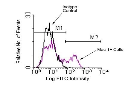 ITGAM / CD11b Antibody - Flow Cytometric assay using CD11b antibody. Flow Cytometric assay showing isotype control vs MAC1+ cells using CD11b antibody.  This image was taken for the unmodified form of this product. Other forms have not been tested.