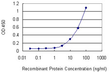 ITGAM / CD11b Antibody - Detection limit for recombinant GST tagged ITGAM is 1 ng/ml as a capture antibody.