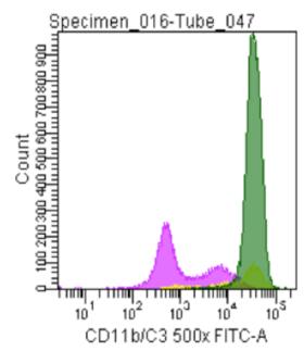 ITGAM / CD11b Antibody - Flow cytometric analysis of an indirectly immunostainied normal white blood cell preparation with ITGAM / CD11b (diluted 500x)